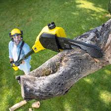 Lawn Maintenance Plans in Silver Bay, MN