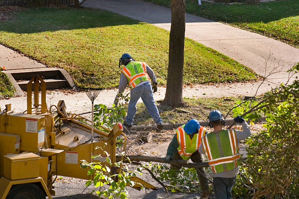 Lawn Drainage Solutions in Silver Bay, MN